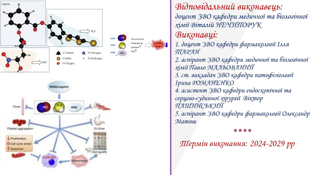 https://www.vnmu.edu.ua/downloads/medbiochemistry/Наукова робота кафедри_03.jpg